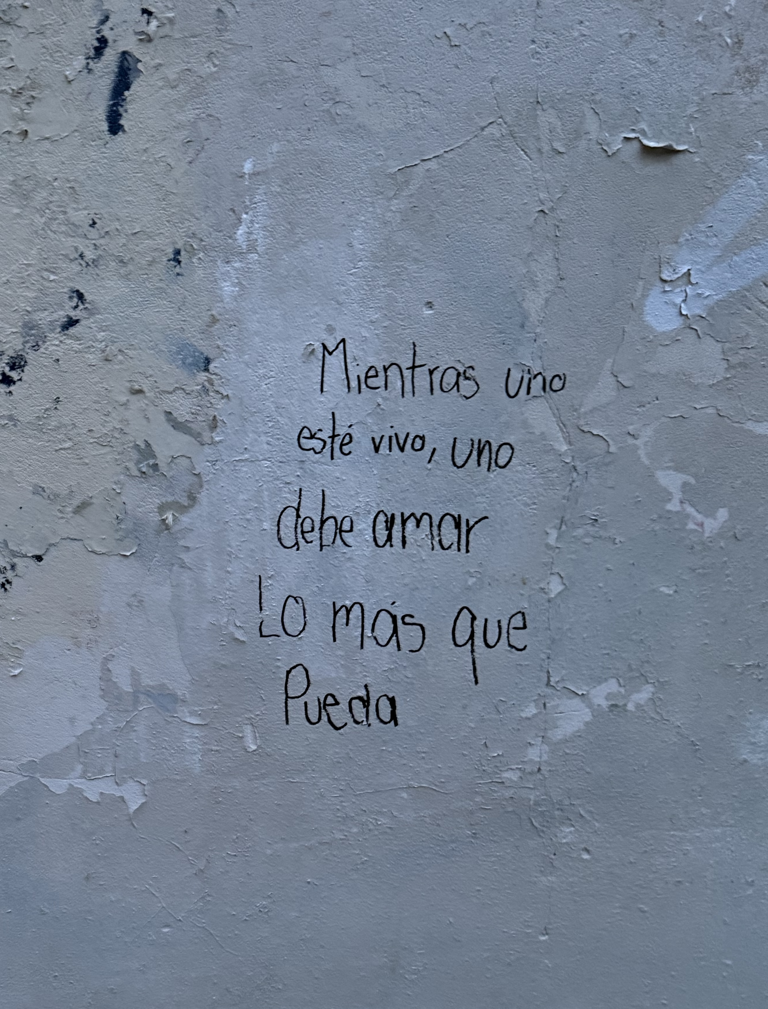 Mientras uno esté vivo, uno debe amar lo más que pueda